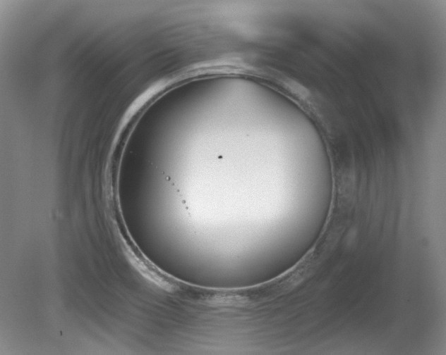 X0000080181466200612081348