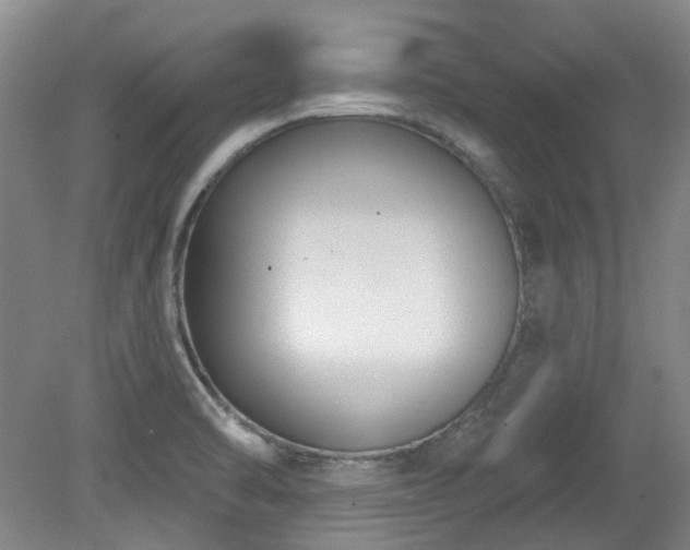 X0000080181470200612081348