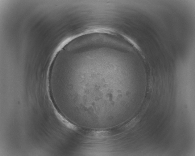 X0000080181471200612081348