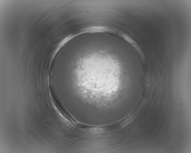 X0000080181473200612081348