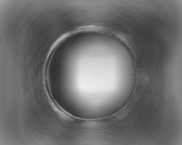 X0000080181474200612081348