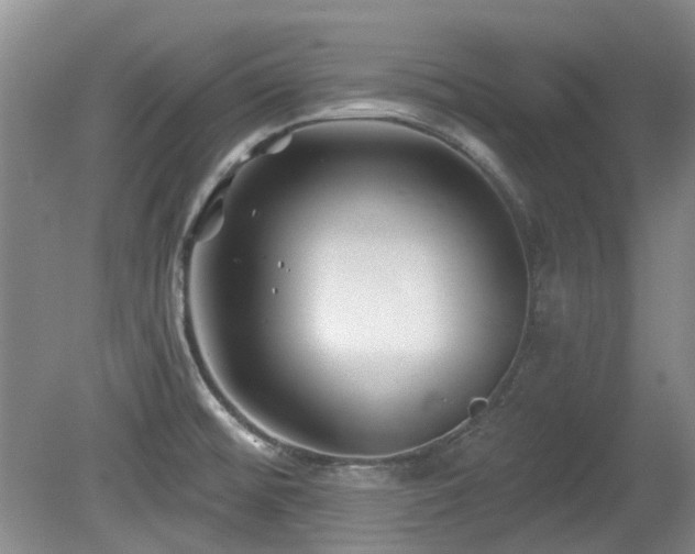 X0000080181476200612081348