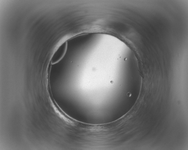 X0000080181479200612081348