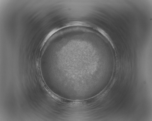 X0000080181481200612081348