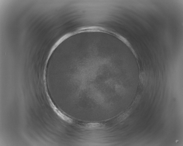 X0000080181482200612081348