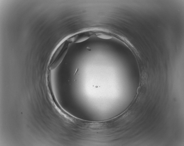 X0000080181484200612081348