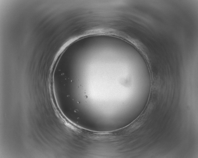 X0000080181486200612081348