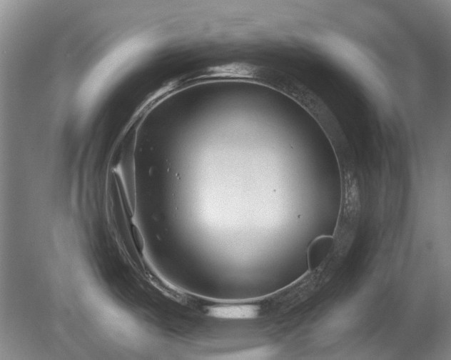 X0000080181487200612081348