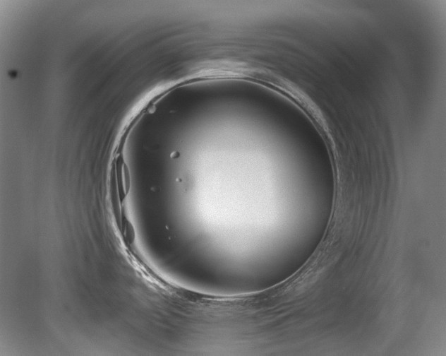 X0000080181488200612081348