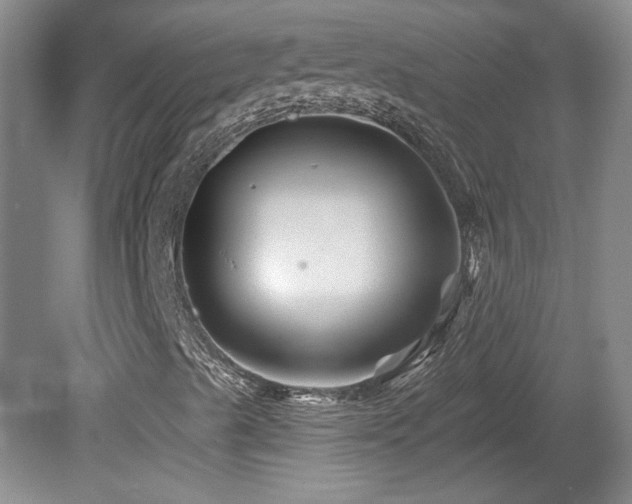 X0000080181489200612081347