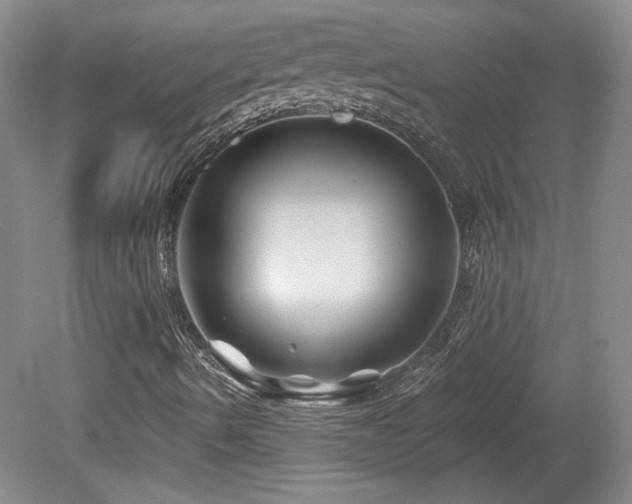 X0000080181490200612081347