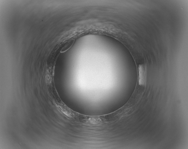 X0000080181491200612081347