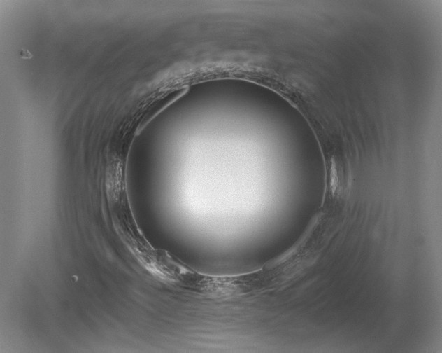 X0000080181492200612081347