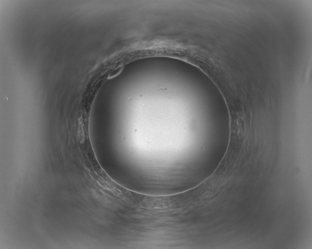 X0000080181493200612081347