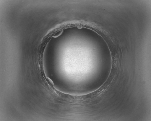 X0000080181494200612081347