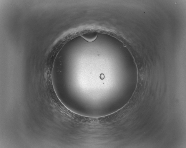 X0000080181495200612081347