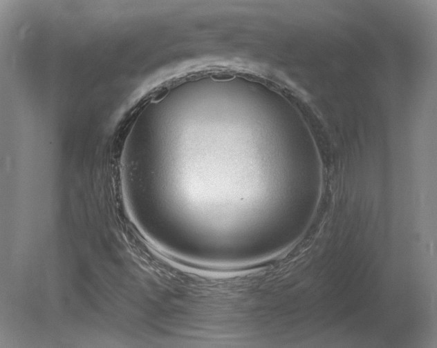 X0000080181496200612081347