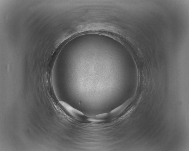 X0000080181497200612081347