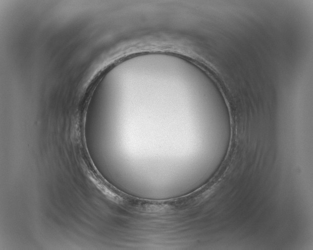 X0000080181498200612081347