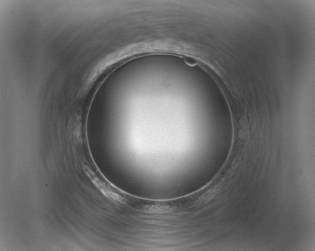 X0000080181499200612081347