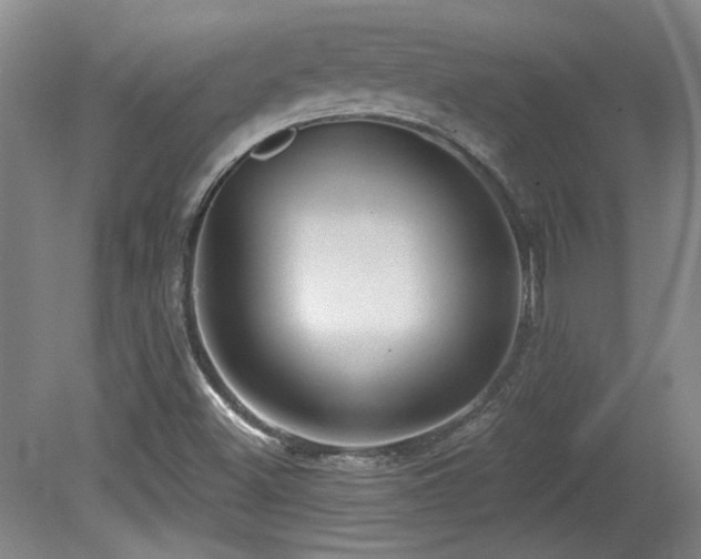 X0000080181500200612081347