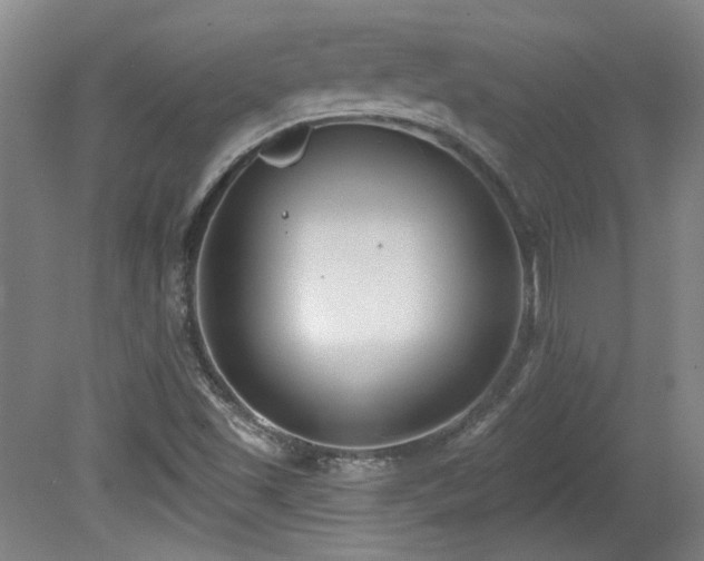 X0000080181501200612081347