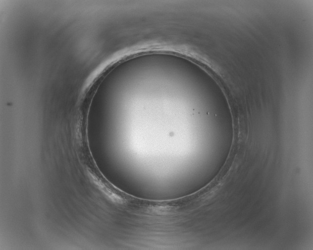 X0000080181502200612081347