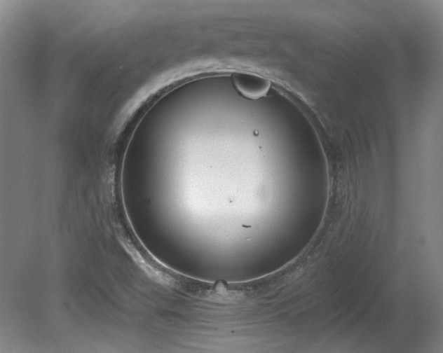 X0000080181503200612081347