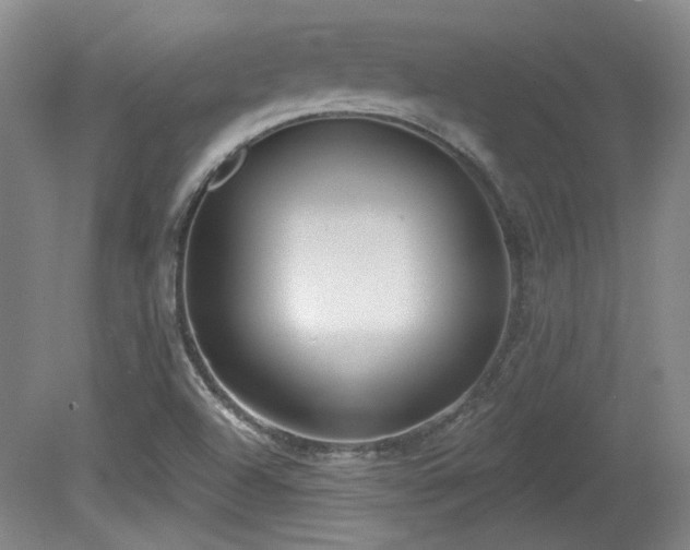 X0000080181504200612081347