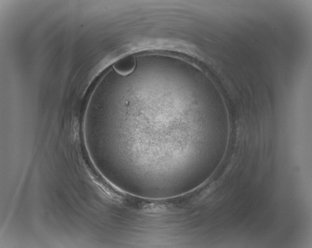 X0000080181505200612081347