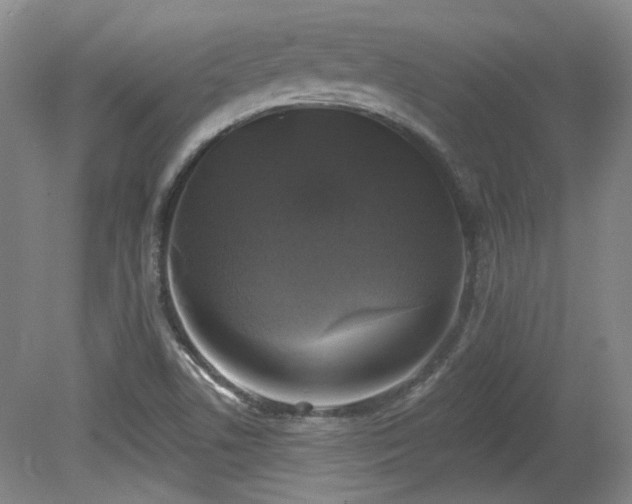 X0000080181506200612081347