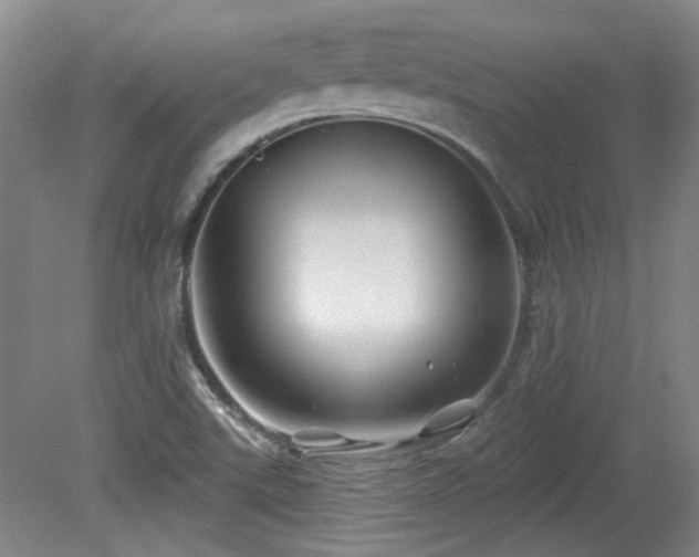 X0000080181507200612081347