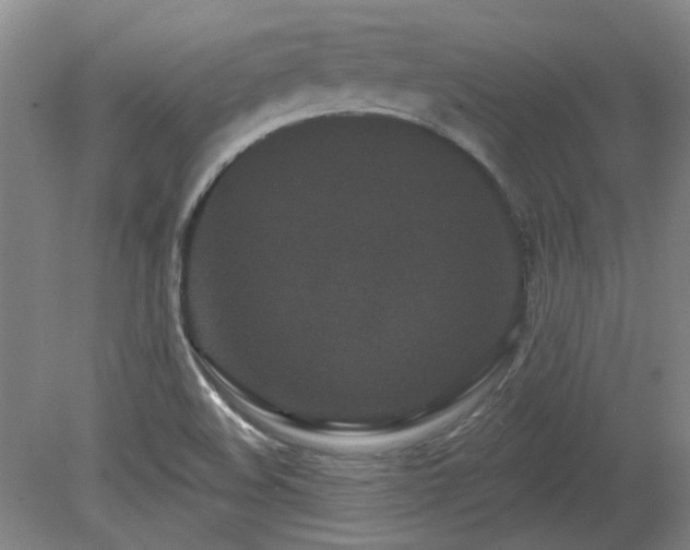 X0000080181508200612081347