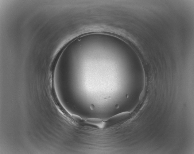 X0000080181509200612081347