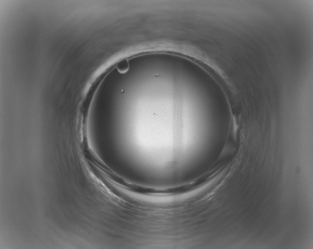 X0000080181510200612081347