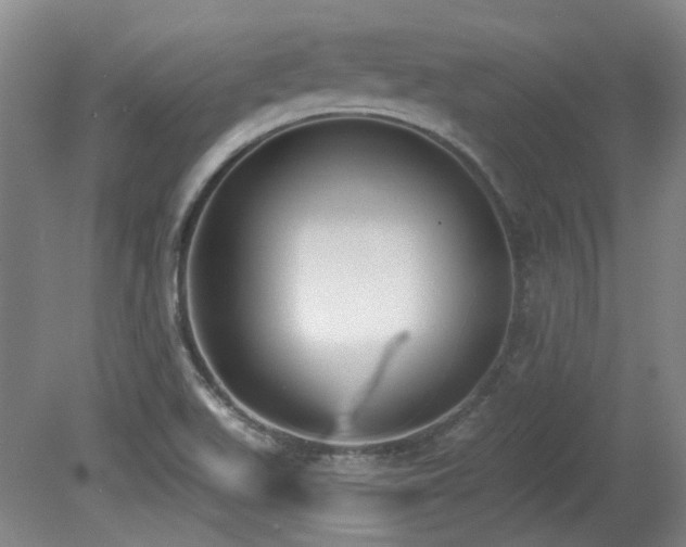 X0000080181511200612081347