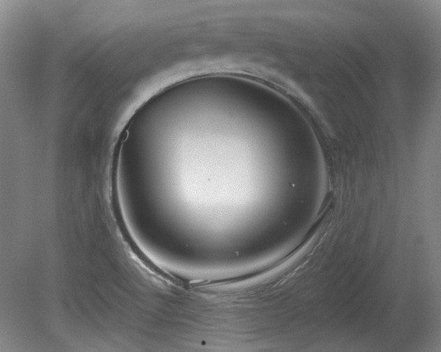 X0000080181512200612081347