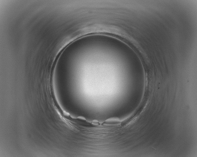 X0000080181513200612081347