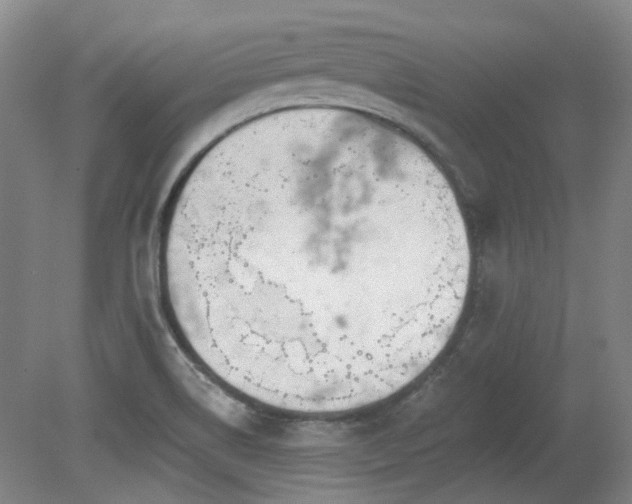 X0000080181514200612081348