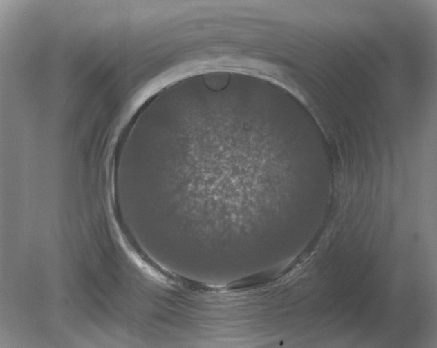 X0000080181515200612081348