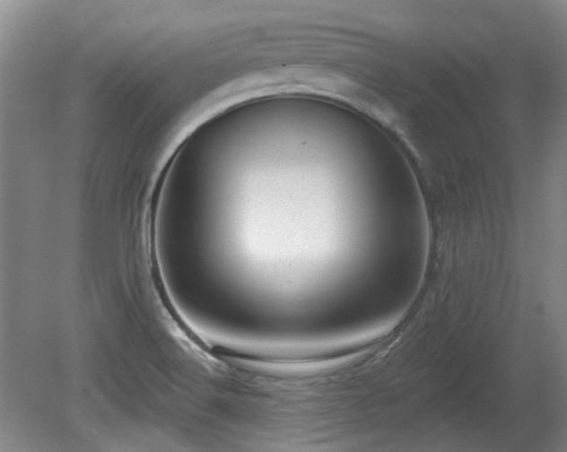 X0000080181516200612081348