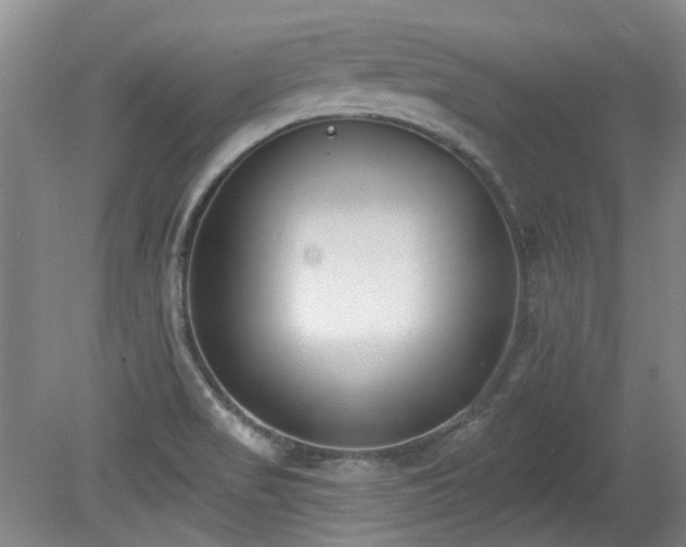 X0000080181517200612081348