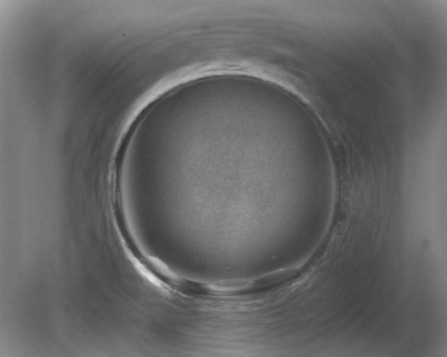 X0000080181519200612081348