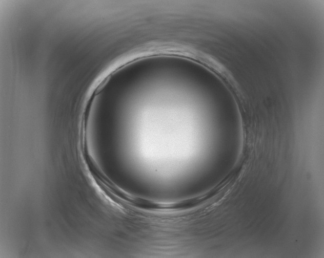 X0000080181520200612081348