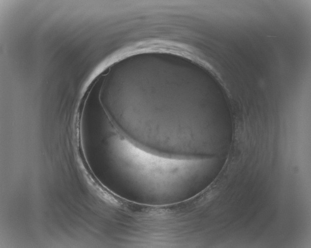 X0000080181522200612081348