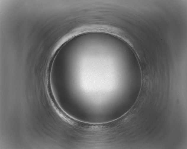 X0000080181523200612081348