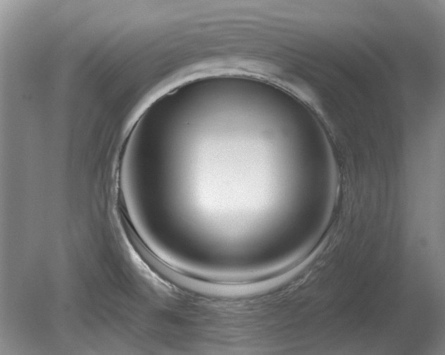 X0000080181524200612081348