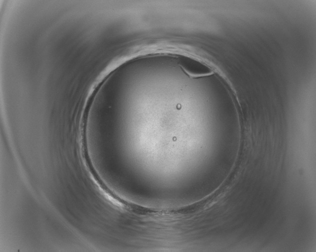 X0000080181525200612081348