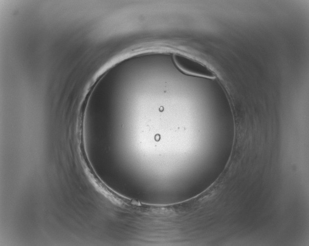 X0000080181526200612081348