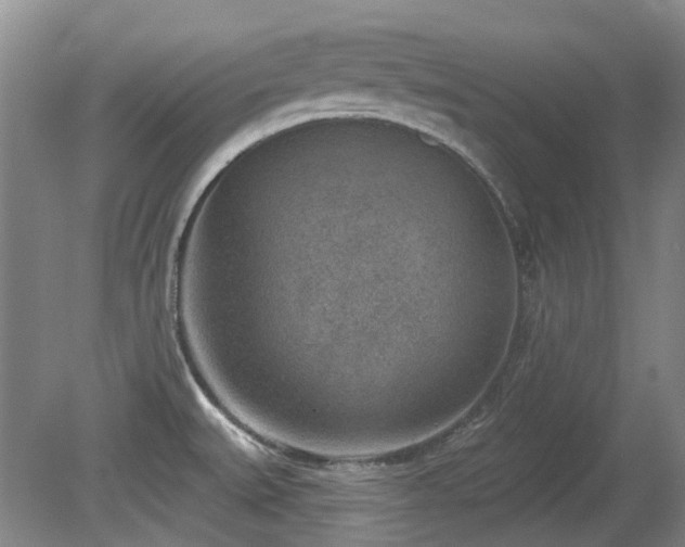 X0000080181527200612081348